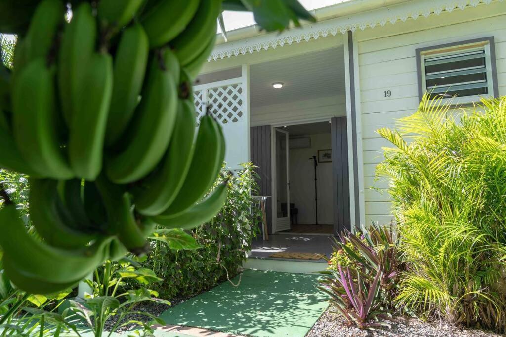 Perle Des Caraibes, Bungalow Moderne N°18 Ле Госие Екстериор снимка